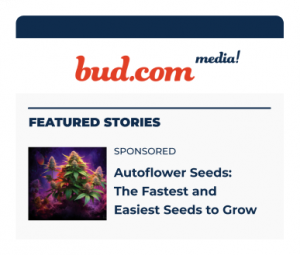bud media featured popup